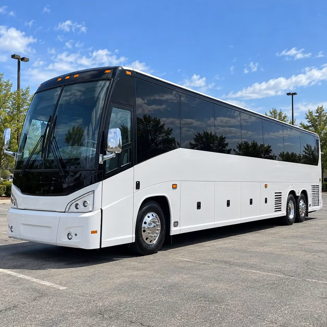 charter bus rentals for minnesota railcats saints and amateur sports events at chs field