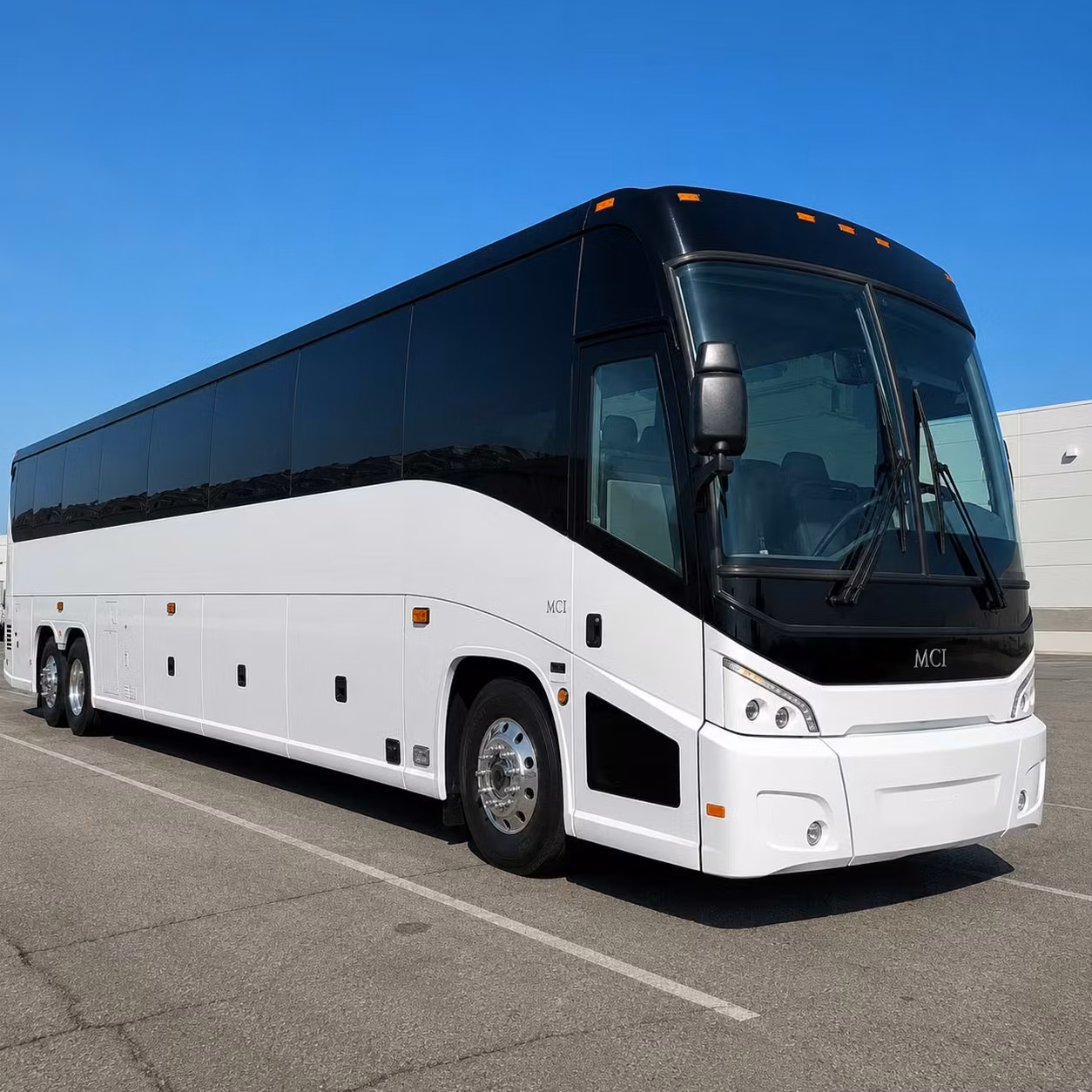 st paul government healthcare sector transportation